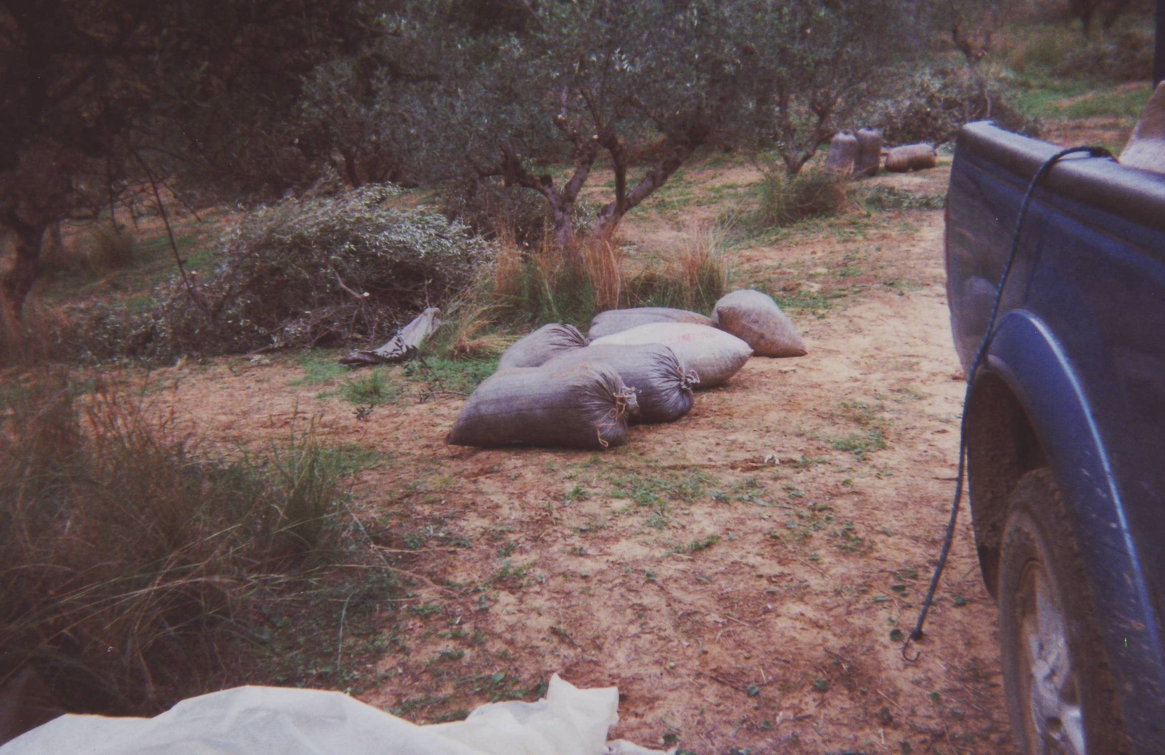 Image from wikimedia commons.